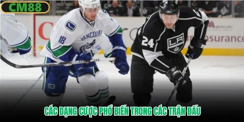 Các dạng cược phổ biến trong các trận đấu